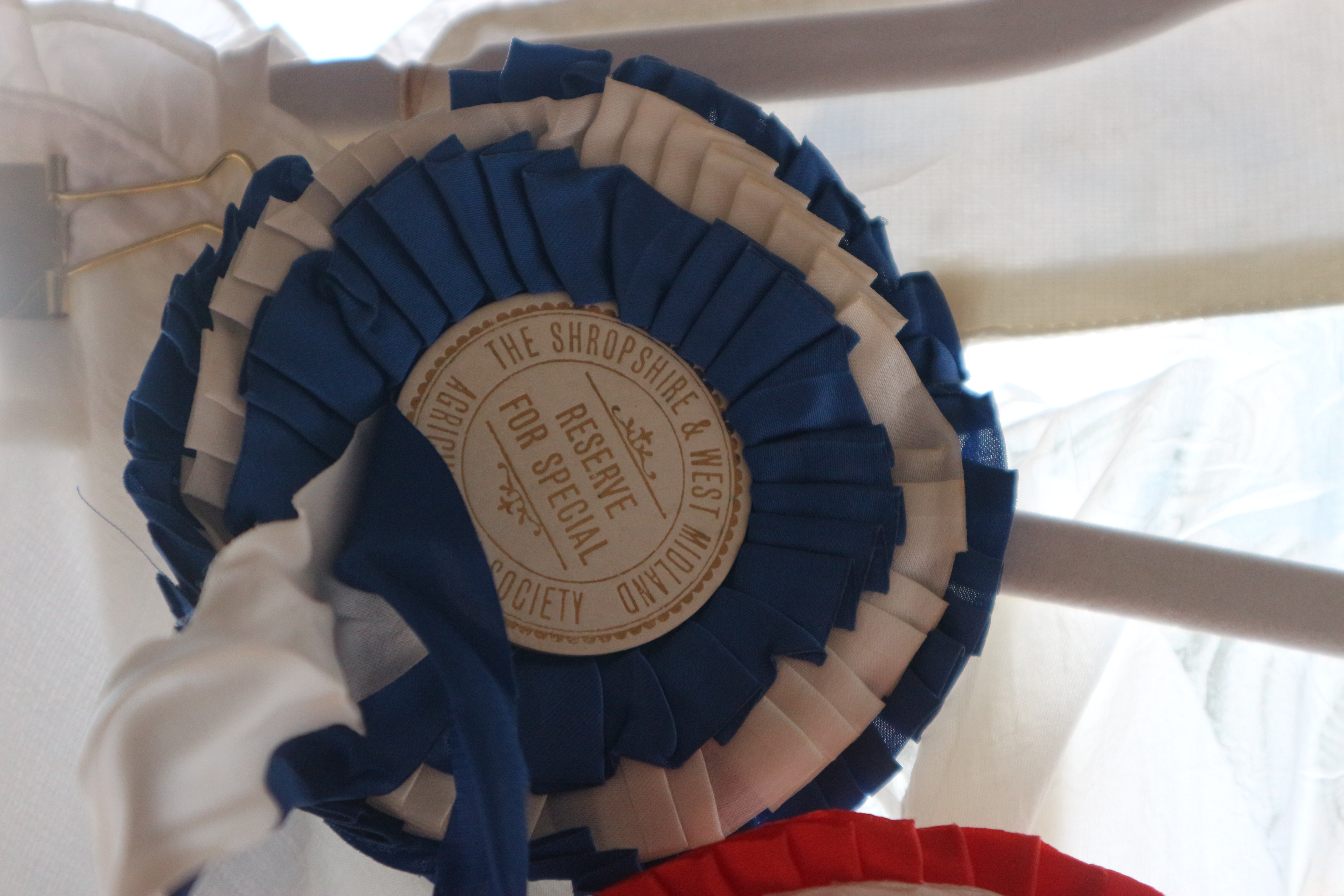Close up of a bright blue and white rosette with 'reserve for special' on the central face.